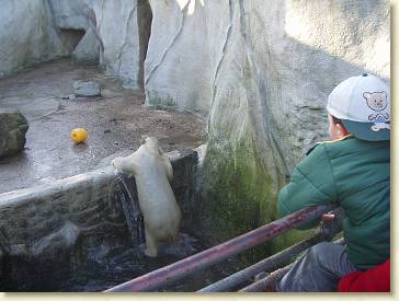 20070114-05 In de dierentuin 05